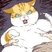 kaiden (versi kucing)