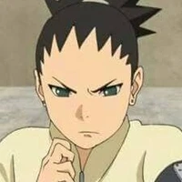 shikadai