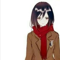 Mikasa