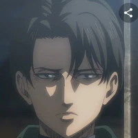 levi