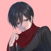 Mikasa