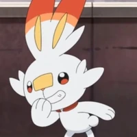 scorbunny