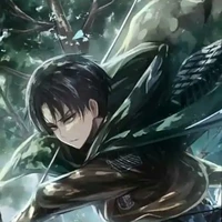 levi (kaka mikasa)