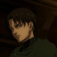 levi