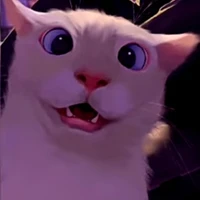 rendom billa 🐈