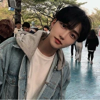 dhanis