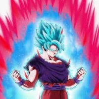 goku (ssjb kaiokenx20)