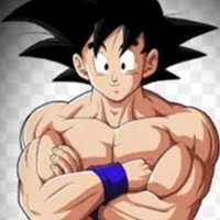 goku todo ferrado
