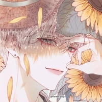Sunny