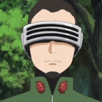 Shino Aburame