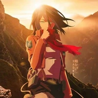 mikasa