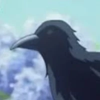 corvo da shinobu