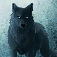 Lobo de Dae Hyun