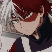 todoroki shoto