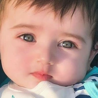 Theo Pietro (FL