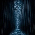 [All]