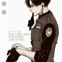 Levi