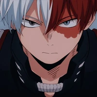 Todoroki (shoto)