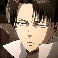 Levi
