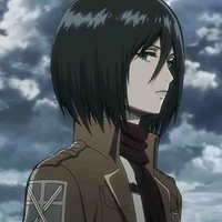 Mikasa