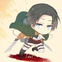 Levi