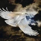 ray( eagle)
