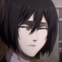 Fatimah Bilqis Mikasa Ackerman Munawaroh