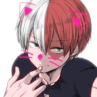 Shoto Todoroki