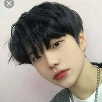 Han Bao