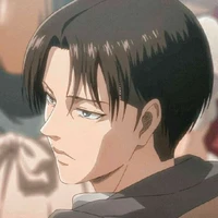 Levi