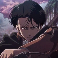 Levi