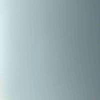 Person