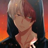 Todoroki shouto