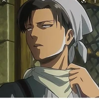 Levi ackerman
