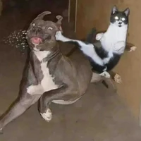 ?????