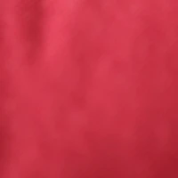 voice 1
