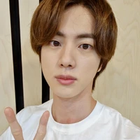 kim seokjin