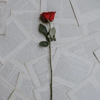 Author 😘❤️