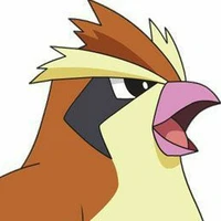 Pidgey