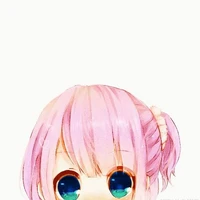 your author