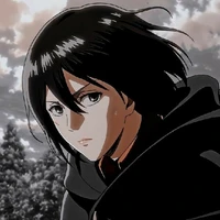 mikasa