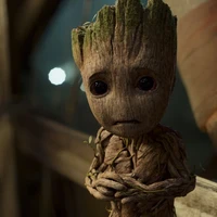 Groot