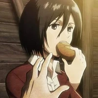 Mikasa