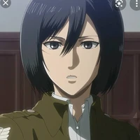 Mikasa