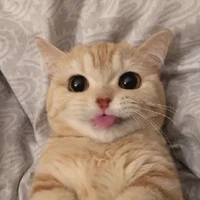 sol