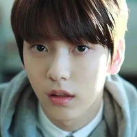 xiobin