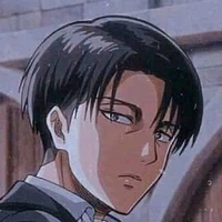 Levi