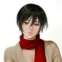 Mikasa