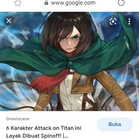 mikasa