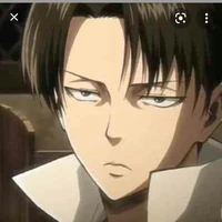 levi